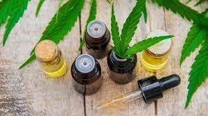 Cannabisvital Oil – bestellen – comments – kaufen