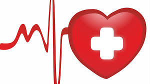 Cardiol – für Bluthochdruck - inhaltsstoffe – in apotheke – forum