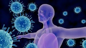 Immuniti+ - bewertungen - erfahrungsberichte - inhaltsstoffe - anwendung